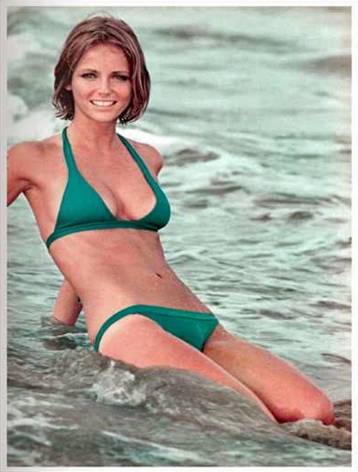 Cheryl Tiegs Glorious Images