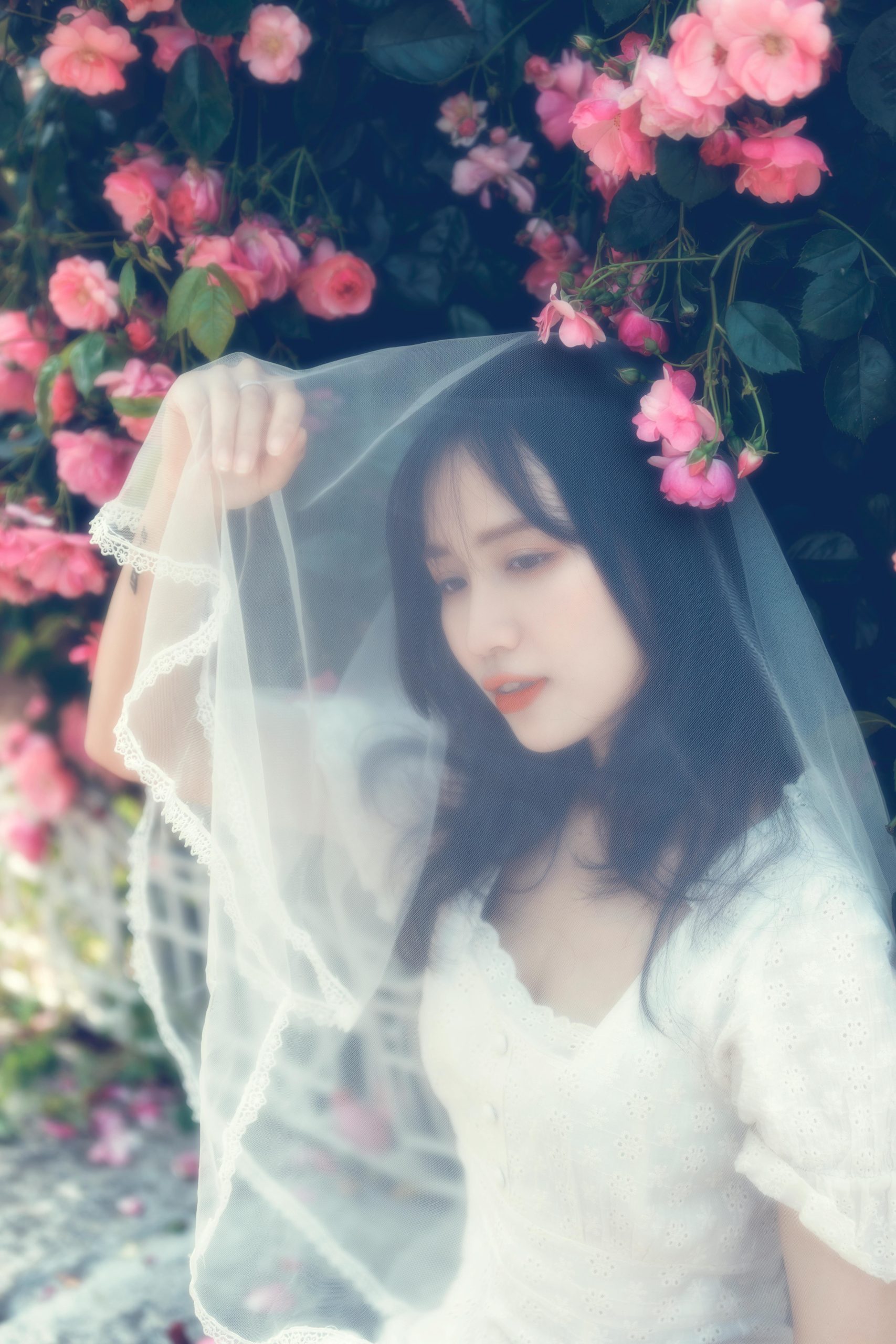 Ảnh Gái Xinh Đà Lạt 2026: Nét Đẹp Thành Phố Ngàn Hoa